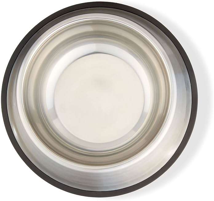 Amazon Basics Stainless Steel Non-Skid Dog Water And Food Bowls, Dishwasher Safe, Rust Resistant, 38oz Capacity, 10 x 2.8 Inches, 2-Pack - Image 4