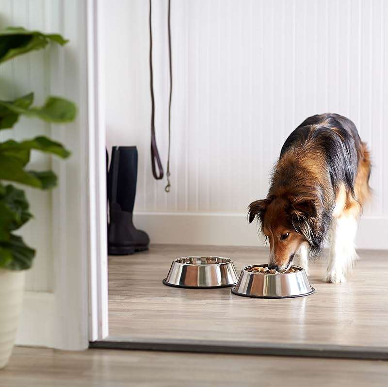 Amazon Basics Stainless Steel Non-Skid Dog Water And Food Bowls, Dishwasher Safe, Rust Resistant, 38oz Capacity, 10 x 2.8 Inches, 2-Pack - Image 6