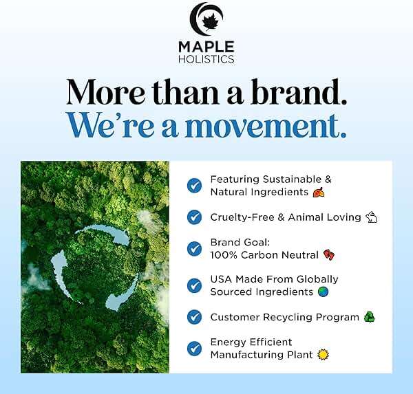 Rosemary and Biotin Shampoo for Thinning Hair - Vegan Volumizing Shampoo for Fine Hair with B Vitamins Argan Oil & Tea Tree Essential Oil - Paraben Silicone and Sulfate Free Vegan Formula (8 Fl Oz) - Image 10