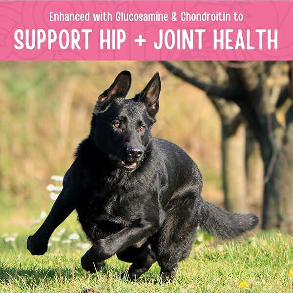 Full Moon Chicken Jerky Healthy All Natural Dog Treats Human Grade For Hip And Joint 12 oz - Image 5