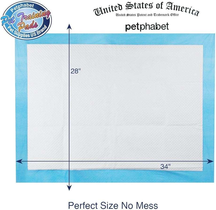 Puppy Pads, 34" x 28" XXL-Large, Ultra Absorbent - All Day Premium Dog Pads - 42 Count by Petphabet - Image 2