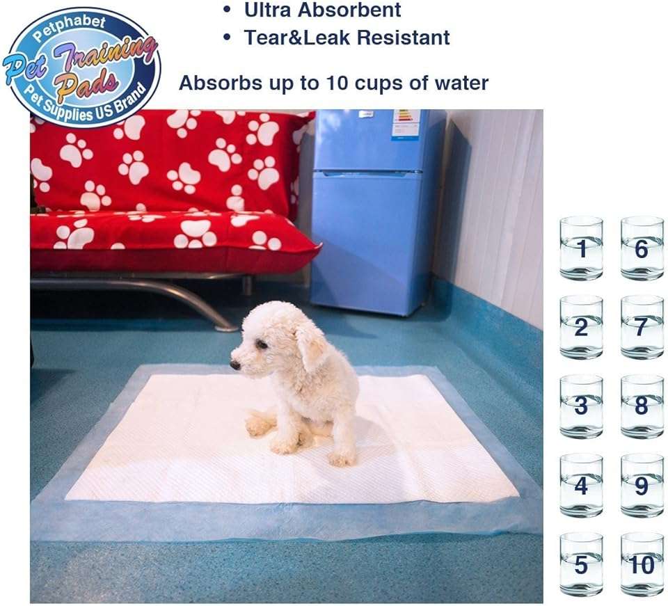 Puppy Pads, 34" x 28" XXL-Large, Ultra Absorbent - All Day Premium Dog Pads - 42 Count by Petphabet - Image 6