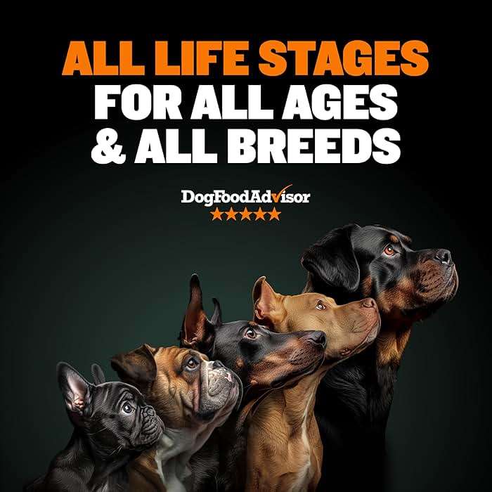 Bully Max Dry Dog Food for Adults & Puppies - High Protein & Fat for Muscle & Weight Gain - High Performance Dog Food Supplements - Small & Large Breed Dogs (535 Calories Per Cup), Chicken, 15lb Bag - Image 2