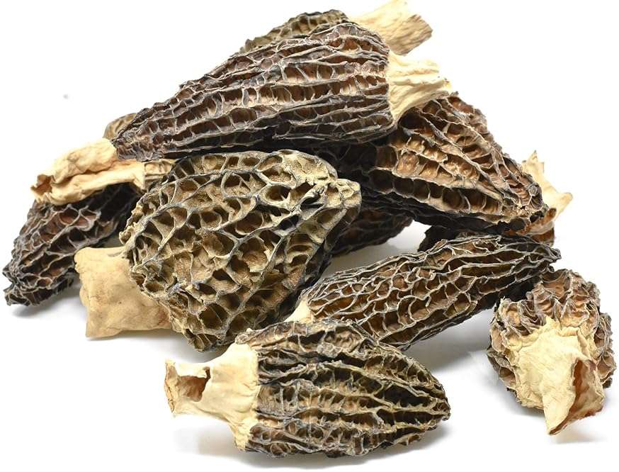 Slofoodgroup Dried Morel Mushrooms (Morchella Conica) Gourmet Morel Mushrooms (.25 lb/ 4 oz Morel Mushrooms) - Image 5