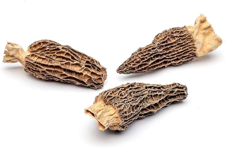 Slofoodgroup Dried Morel Mushrooms (Morchella Conica) Gourmet Morel Mushrooms (.25 lb/ 4 oz Morel Mushrooms) - Image 6