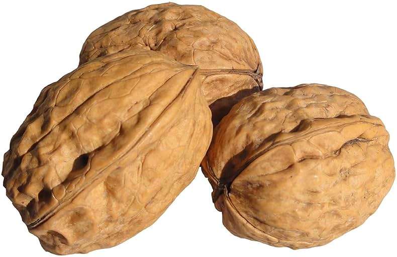 In Shell Walnuts (4 Lbs.) - Large Natural California Walnuts - Great Source of Omega 3 - Fresh New Crop - Bursting with Flavor - Farm Fresh Nuts Brand - Image 5