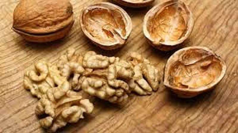 In Shell Walnuts (4 Lbs.) - Large Natural California Walnuts - Great Source of Omega 3 - Fresh New Crop - Bursting with Flavor - Farm Fresh Nuts Brand - Image 6