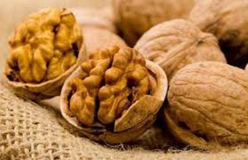 In Shell Walnuts (4 Lbs.) - Large Natural California Walnuts - Great Source of Omega 3 - Fresh New Crop - Bursting with Flavor - Farm Fresh Nuts Brand - Image 7