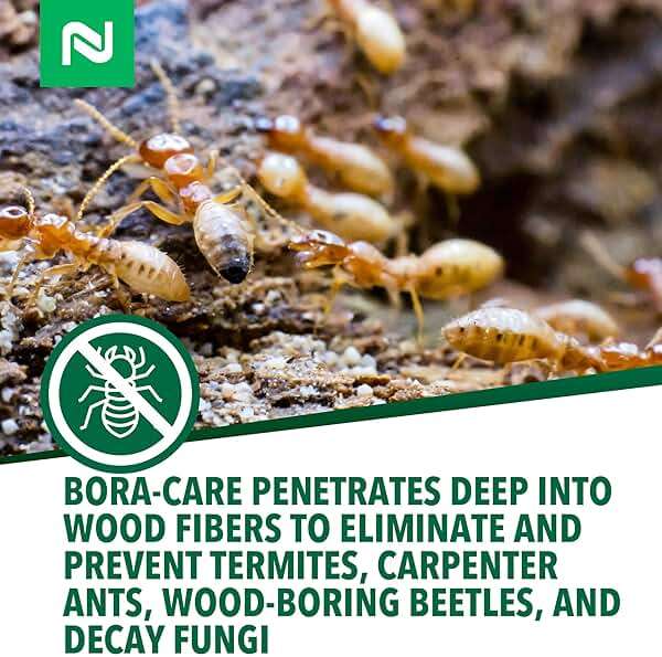 Bora-Care Termiticide Insecticide and Fungicide Concentrate, Wood Treatment for Termite and Beetle Prevention, 1 Gallon - Image 6