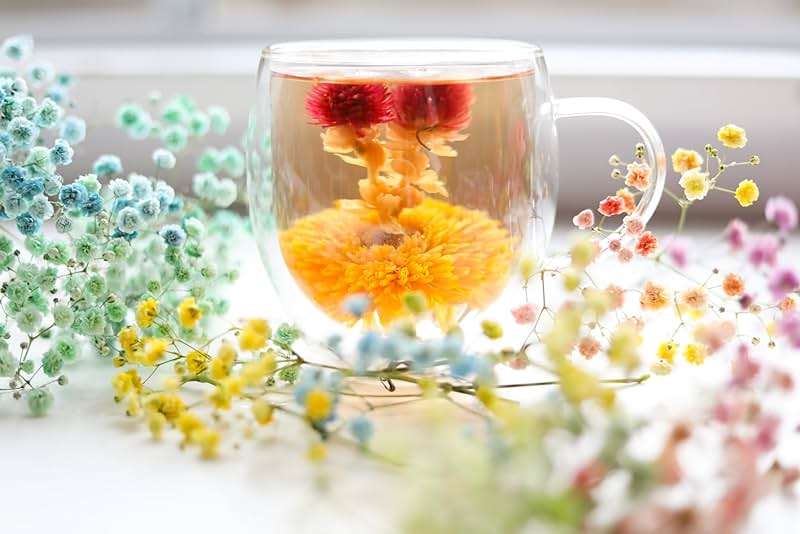 Teabloom Flowering Tea - 12 Unique Varieties of Fresh Blooming Tea Flowers - Hand-Tied Natural Green Tea Leaves & Edible Flowers - 12-Pack Gift Canister - 36 Steeps, Makes 250 Cups - Image 5