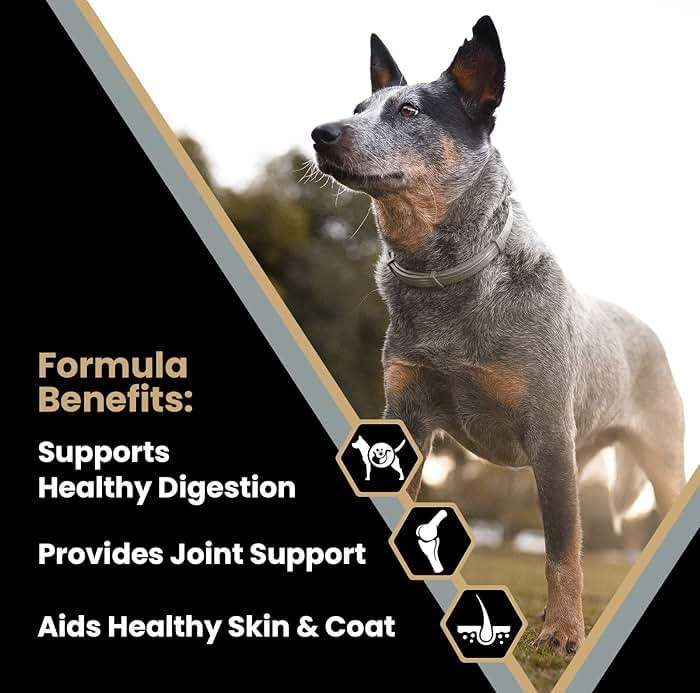 VICTOR Super Premium Dog Food – Purpose – Senior Healthy Weight Management – Dry Dog Food for Adult Dogs – Gluten Free with Glucosamine and Chondroitin, for Hip and Joint Health, 15lbs - Image 2