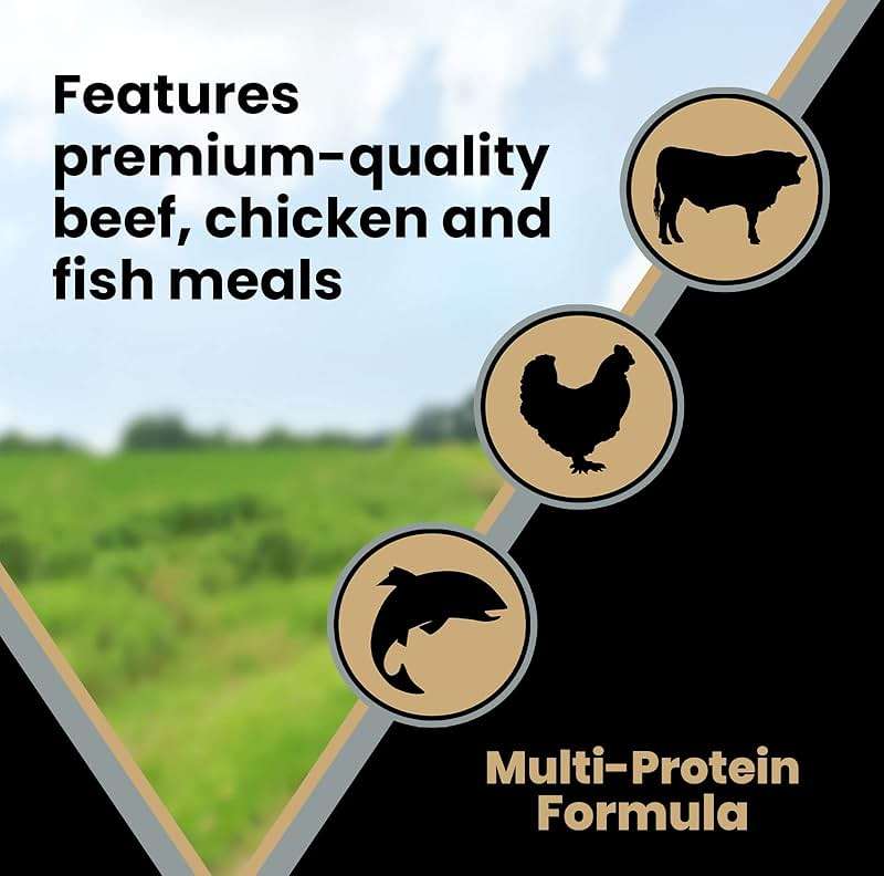 VICTOR Super Premium Dog Food – Purpose – Senior Healthy Weight Management – Dry Dog Food for Adult Dogs – Gluten Free with Glucosamine and Chondroitin, for Hip and Joint Health, 15lbs - Image 6
