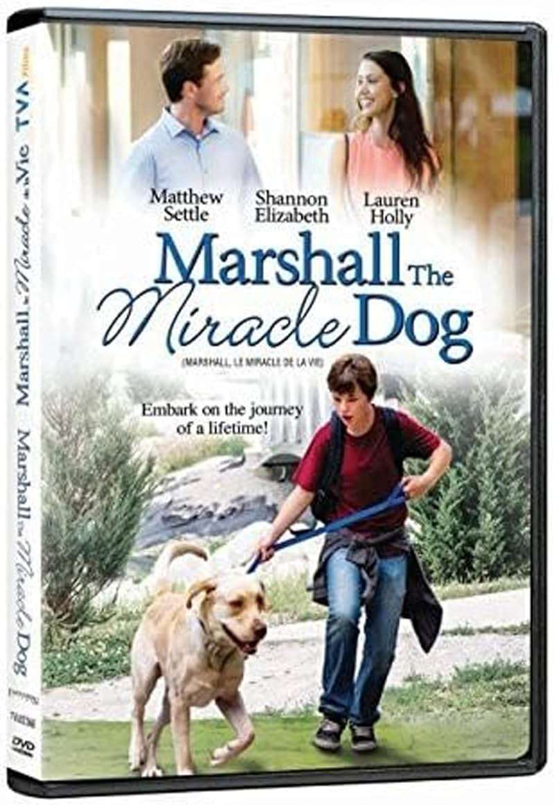 Marshall the Miracle Dog (aka Marshall's Miracle) - Image 2