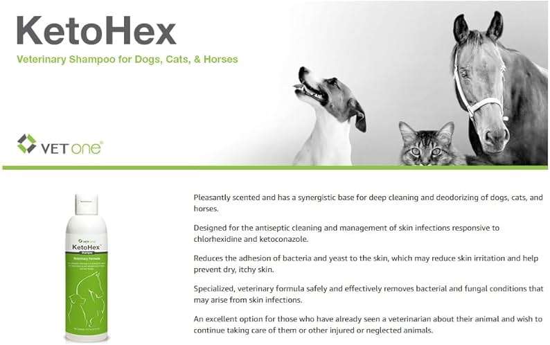 KetoHex Cat and Dog Shampoo - 16 oz Anti Bacterial Cat & Dog Flea And Tick Treatment, For Sensitive Skin Infections & Lesions, Protects & Moisturizes, Antifungal Treatment For Dogs & Cats - VetOne - Image 5