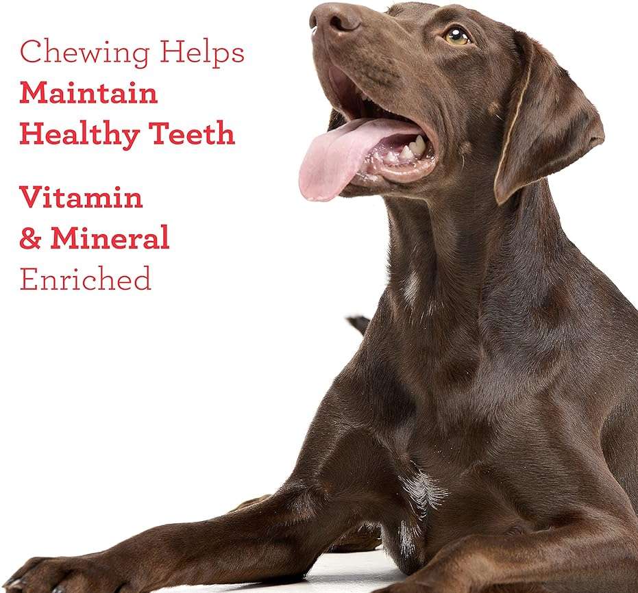 DreamBone Chicken RattleBall Dog Treats, Daily Rawhide-Free Chew, Digests Safely, With Real Protein, Chicken and Veggies, 14 count - Image 7