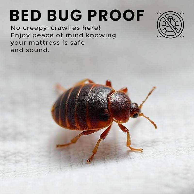 Utopia Bedding Premium Waterproof Bed Bug Mattress Cover, Queen Zippered Mattress Protector, 12 Inches Deep, Dust Mite Proof 6-Sided Mattress Encasement for Bed - Image 6