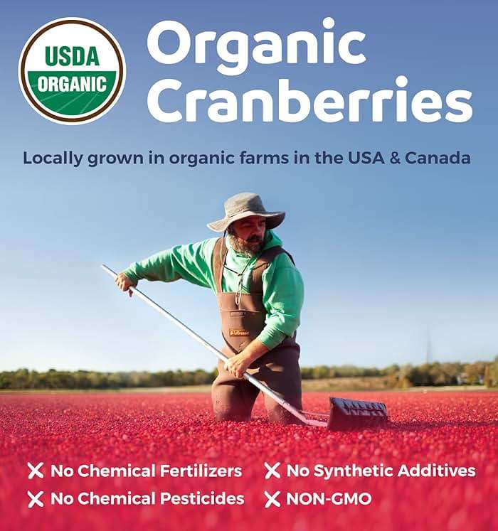 Organic Cranberry Pills - Vegan Supplement for Urinary Tract Health & Kidney Cleanse - Cranberry Pills for Women 500mg 50:1 Cranberry Concentrate Per Serving - Urinary Tract Support - 60 Capsules - Image 4