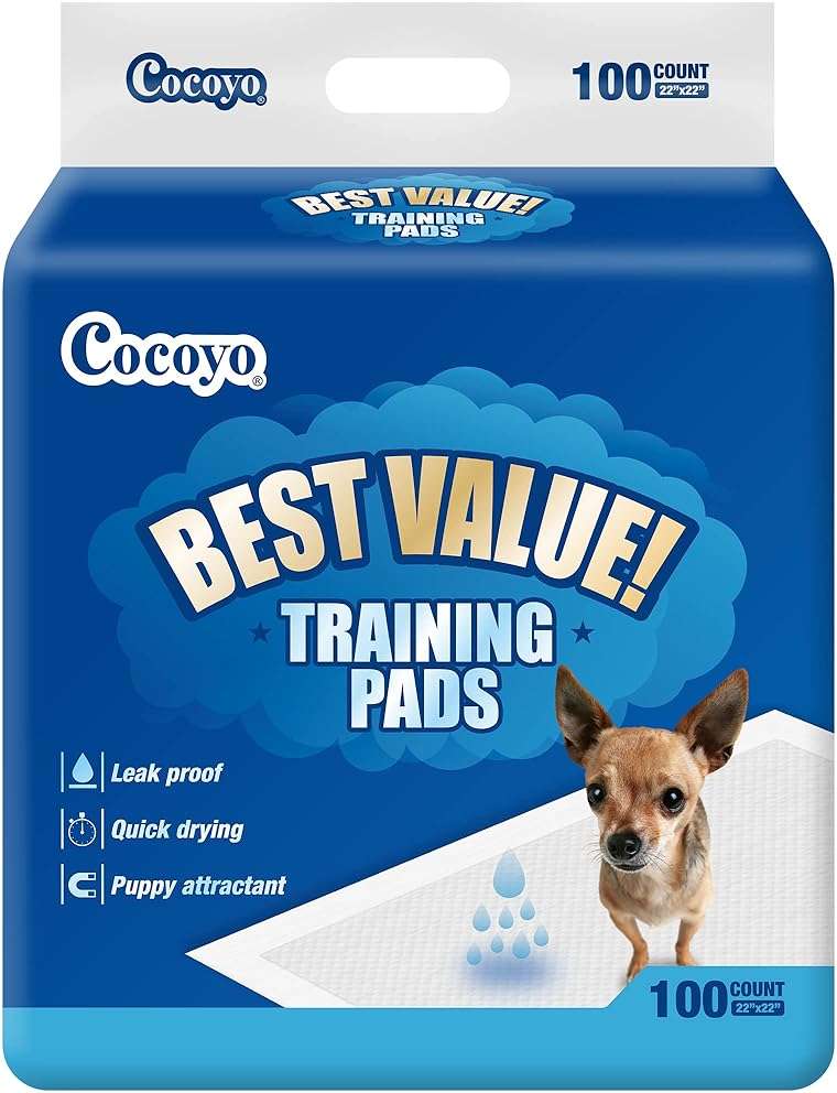 COCOYO Best Value Training Pads, 22" x 22", 100 Count, White & Blue Puppy Pads - Image 1
