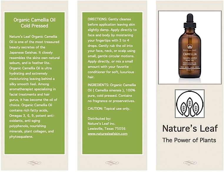 Natures Leaf Organic Camellia Seed Oil/Tea Seed Oil / 100% Pure/Fresh Cold Pressed/Beautifies Hair, Skin And Nails/Non-Comedogenic/Hypoallergenic / 4 fl oz - Image 2