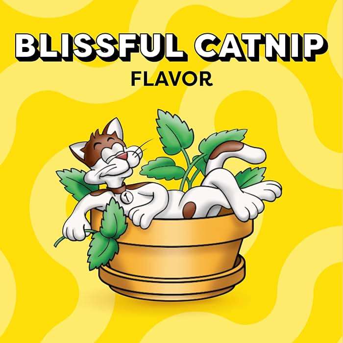 Temptations Cat Treats, Classic Crunchy and Soft Cat Treats, Blissful Catnip Flavor, Catnip Treats, 16 oz. Tub - Image 4