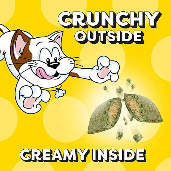 Temptations Cat Treats, Classic Crunchy and Soft Cat Treats, Blissful Catnip Flavor, Catnip Treats, 16 oz. Tub - Image 5