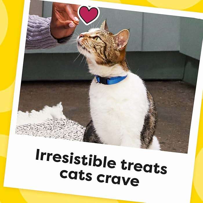 Temptations Cat Treats, Classic Crunchy and Soft Cat Treats, Blissful Catnip Flavor, Catnip Treats, 16 oz. Tub - Image 10