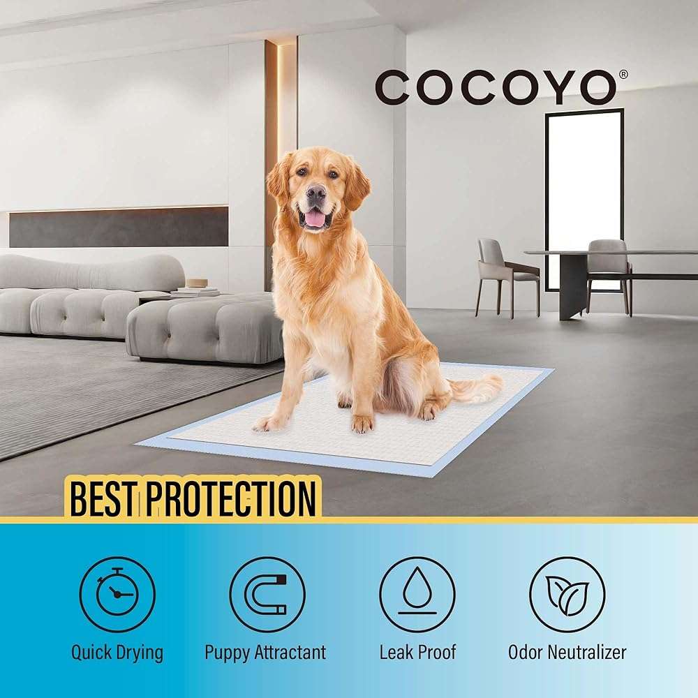 COCOYO Best Value Training Pads, 40Count, 28" by 34" - Image 3