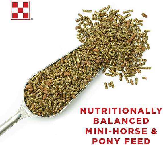 Purina Mini Horse & Pony Feed, All Ages & Lifestyles, Amplify for High Fat, Outlast for Gastric Health, 50lb - Image 4
