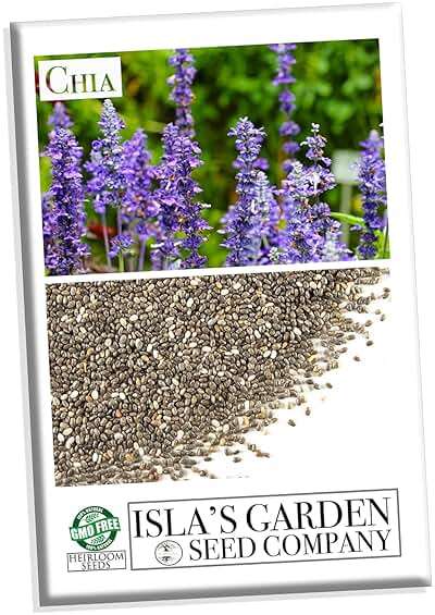 Chia Seeds for Planting, 1000+ Seeds Per Packet,Herb/Flower, (Isla's Garden Seeds), Non GMO & Heirloom Seeds, Scientific Name: Salvia hispanica, Great Gift - Image 1
