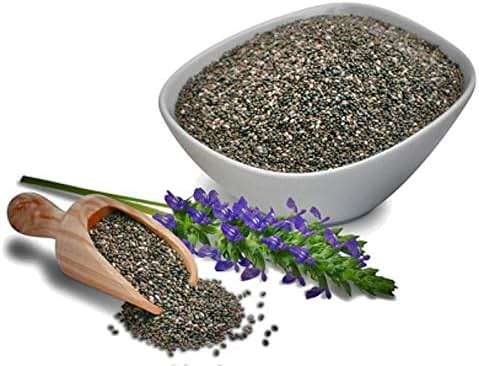 Chia Seeds for Planting, 1000+ Seeds Per Packet,Herb/Flower, (Isla's Garden Seeds), Non GMO & Heirloom Seeds, Scientific Name: Salvia hispanica, Great Gift - Image 8