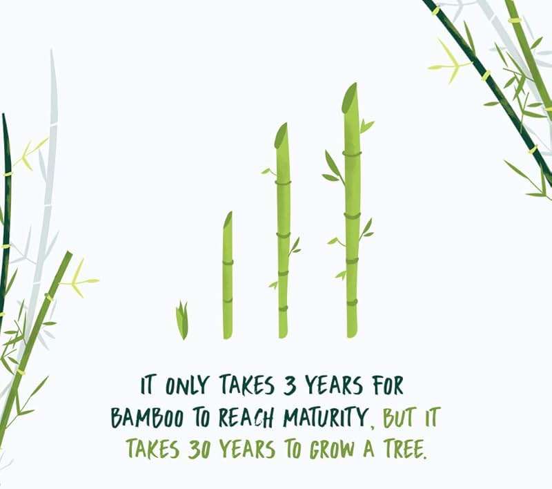 NooTrees Toilet Tissue, Tree Free, Biodegradable, Sustainable, Renewable and FSC Certified 3-ply Toilet Paper, 220 Sheets, 12 Rolls, Pack of 1 | Septic Safe, Tree Free, 100% Biodegradable, Eco Friendly, 3-Ply, FSC Certified - Image 5