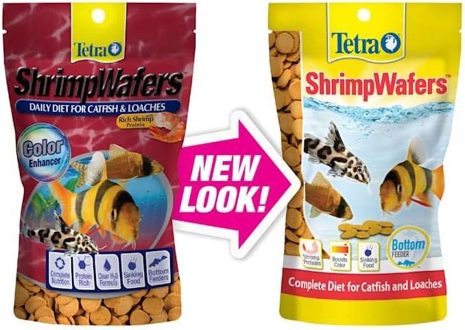 Tetra ShrimpWafers Complete Diet for Catfish and Loaches 3 Ounce - Image 2