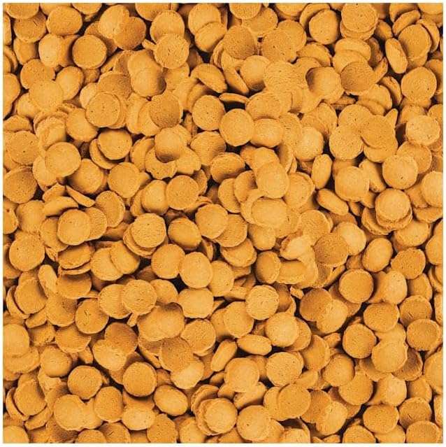 Tetra ShrimpWafers Complete Diet for Catfish and Loaches 3 Ounce - Image 4