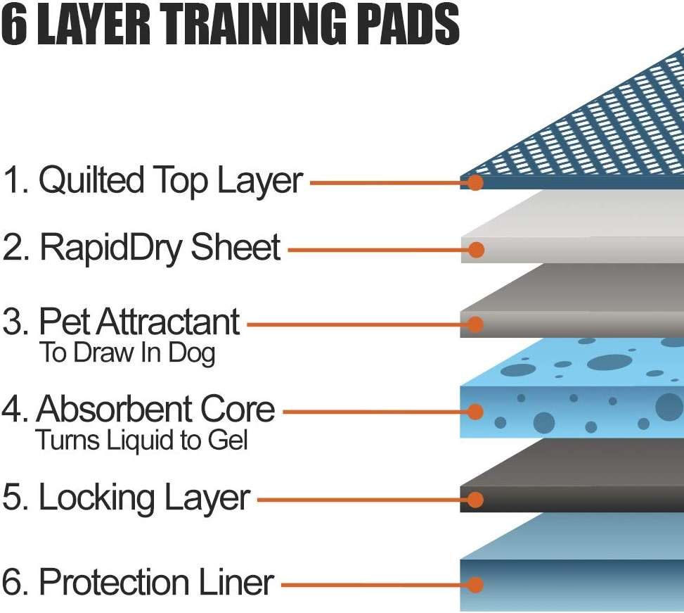 BV Puppy Pads Leak-Proof 100 Count 22"x 22" - Absorbent Pee Pads for Dogs with 6-Layer Design, Rapid Dry Sheet & Built-in Attractant - Dog Pad with Odor Control, Perfect for Puppies & Senior Dogs - Image 4