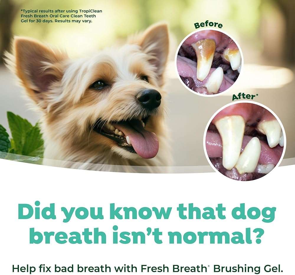 TropiClean Oral Care Brushing Gel for Dogs & Cats| Dog Toothpaste | Pet Dental Gel | Dog Teeth Cleaning Use with Pet Toothbrush | 2 oz - Image 5