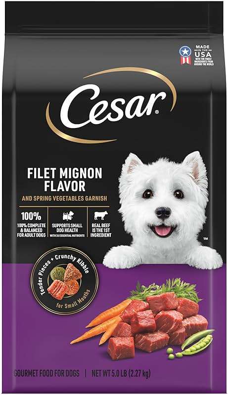 Cesar Small Breed Dry Dog Food for Small Dogs, Filet Mignon Flavor and Spring Vegetables Garnish, 5 lb Bag - Image 1