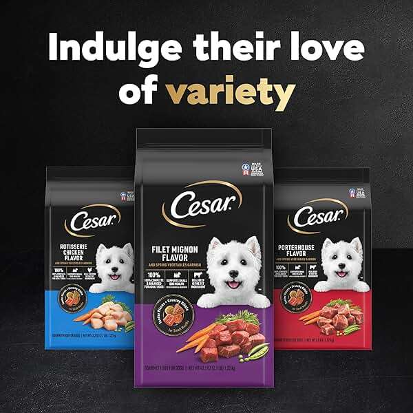 Cesar Small Breed Dry Dog Food for Small Dogs, Filet Mignon Flavor and Spring Vegetables Garnish, 5 lb Bag - Image 12