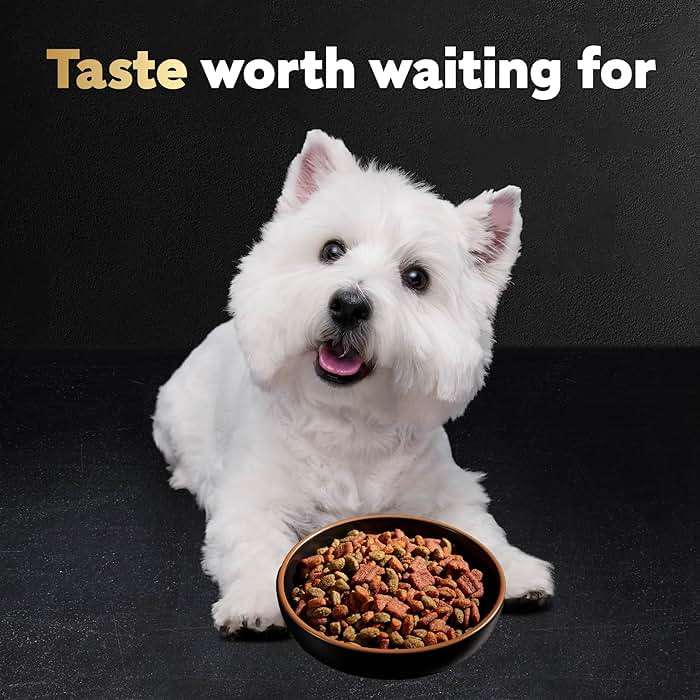 Cesar Small Breed Dry Dog Food for Small Dogs, Filet Mignon Flavor and Spring Vegetables Garnish, 5 lb Bag - Image 13