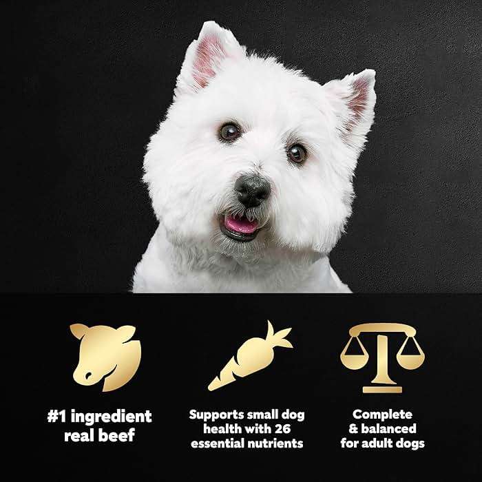 Cesar Small Breed Dry Dog Food for Small Dogs, Filet Mignon Flavor and Spring Vegetables Garnish, 5 lb Bag - Image 6