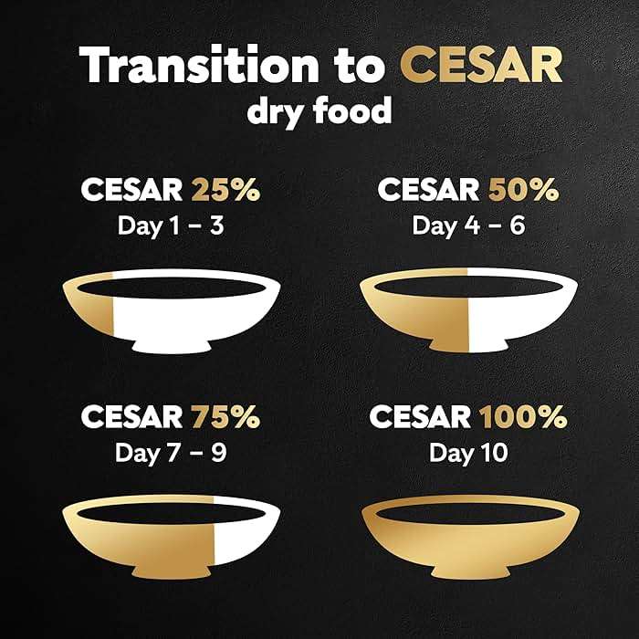 Cesar Small Breed Dry Dog Food for Small Dogs, Filet Mignon Flavor and Spring Vegetables Garnish, 5 lb Bag - Image 8