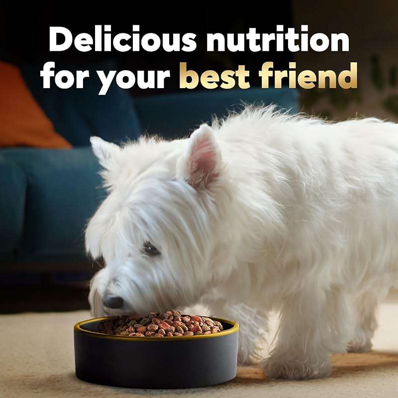 Cesar Small Breed Dry Dog Food for Small Dogs, Filet Mignon Flavor and Spring Vegetables Garnish, 5 lb Bag - Image 10