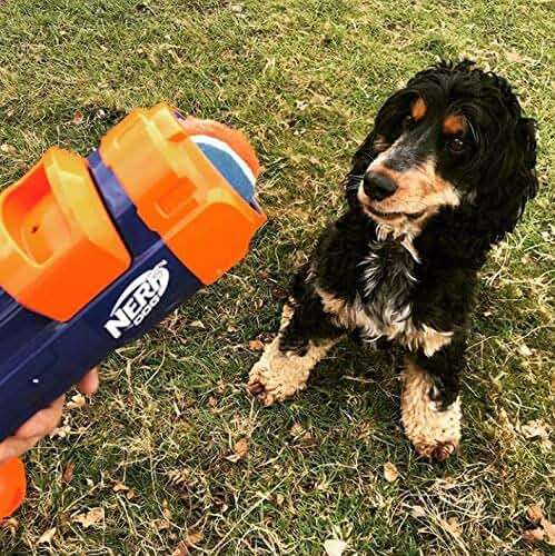 Nerf Dog Tennis Ball Blaster Dog Toy Blue/Orange, 16 Inch Compact Blaster with 1 Ball - Image 2