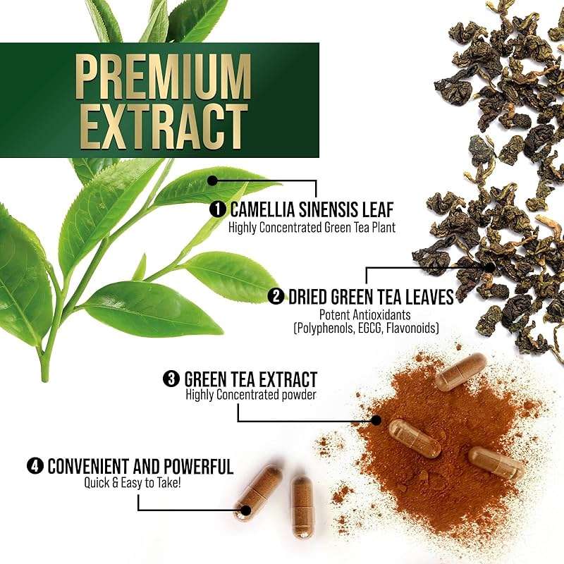 Green Tea Extract Capsules - 3X Strength Green Tea Extract 1000 mg Per Serving Pills with 45% EGCG & 98% Polyphenols for Natural Energy - Antioxidant Herbal Heart Support Supplement - 240 Capsules - Image 5