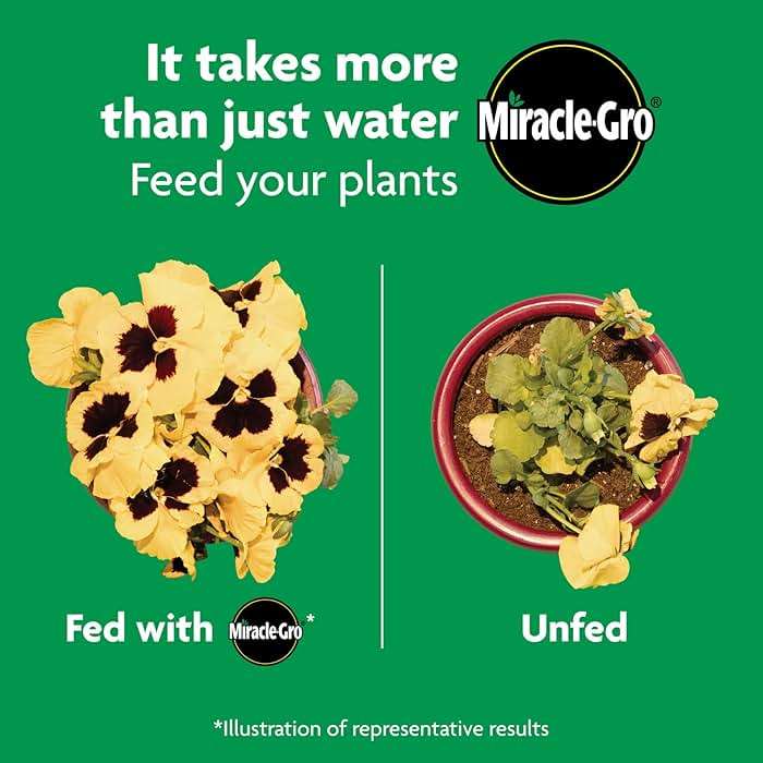 Miracle-Gro Shake 'N Feed All Purpose Plant Food - Outdoor and Indoor Plant Food for In-Ground and Containers, Feeds for up to 3 Months, 4.5 lbs. - Image 10