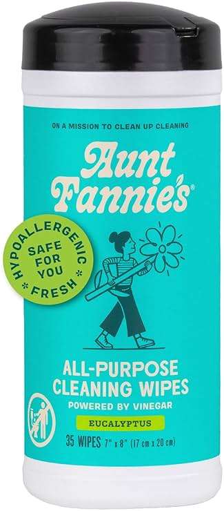 Aunt Fannie's Natural Cleaning Vinegar Wipes, Multipurpose Surface Cleaner, Eucalyptus Scent, 35 Count (Pack of 1) - Image 1