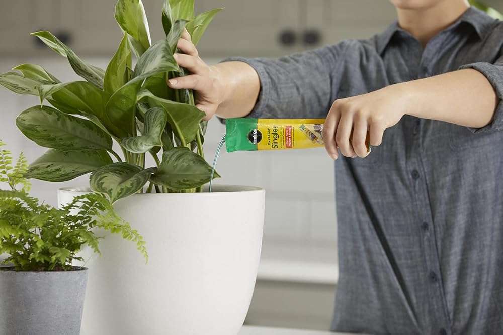 Miracle-Gro Pour & Feed Singles Ready-To-Use Liquid Plant Food - Pre-Measured Liquid Plant Fertilizer for Potted Plants, 2 oz. Singles - Image 3