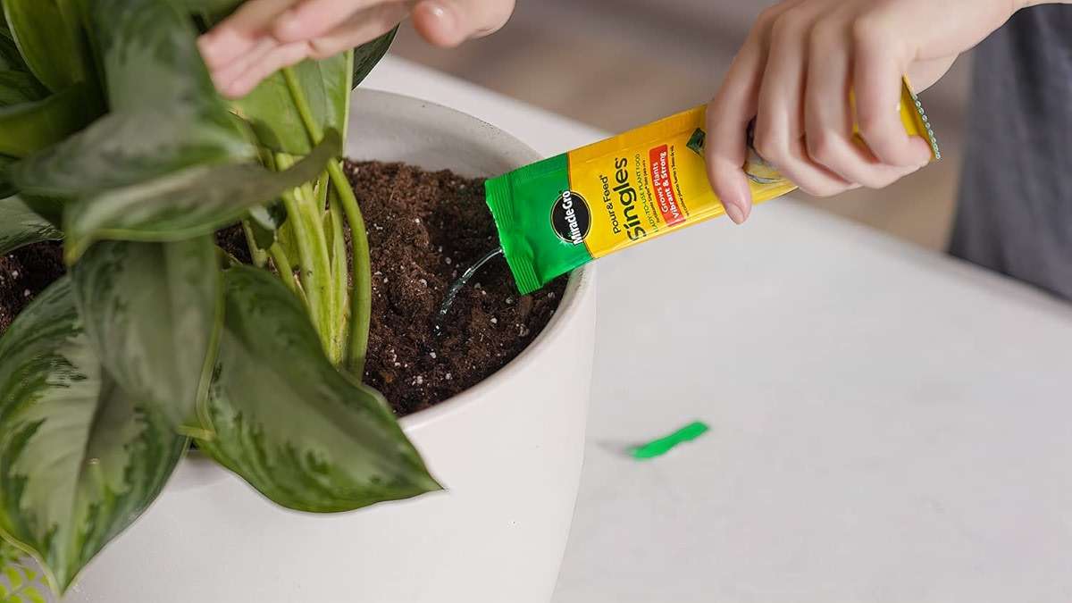Miracle-Gro Pour & Feed Singles Ready-To-Use Liquid Plant Food - Pre-Measured Liquid Plant Fertilizer for Potted Plants, 2 oz. Singles - Image 5