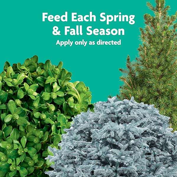 Miracle-Gro Shake 'N Feed Flowering Trees and Shrubs Plant Food, For In-Ground and Container Plants, Acid-Loving Flowering Plants, 8 lbs. - Image 7