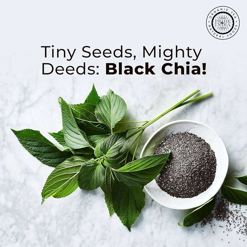 Pride of India Black Chia Seeds 1.25 lb | Whole Raw Chia Seeds for Smoothies, Pudding, Yogurt & Salad | High Fiber, Omega 3 & Calcium Rich Superfood | Vegan & Gluten Free - Image 2