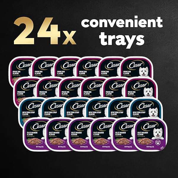 Cesar Filets in Gravy Adult Wet Dog Food Variety Pack, Filet Mignon, New York Strip and Prime Rib Flavors, 3.5 oz. Easy Peel Trays, Variety Pack of 24 - Image 3
